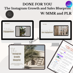 1. The Instagram Growth and Sales Blueprintent PLR course - Life Clinik